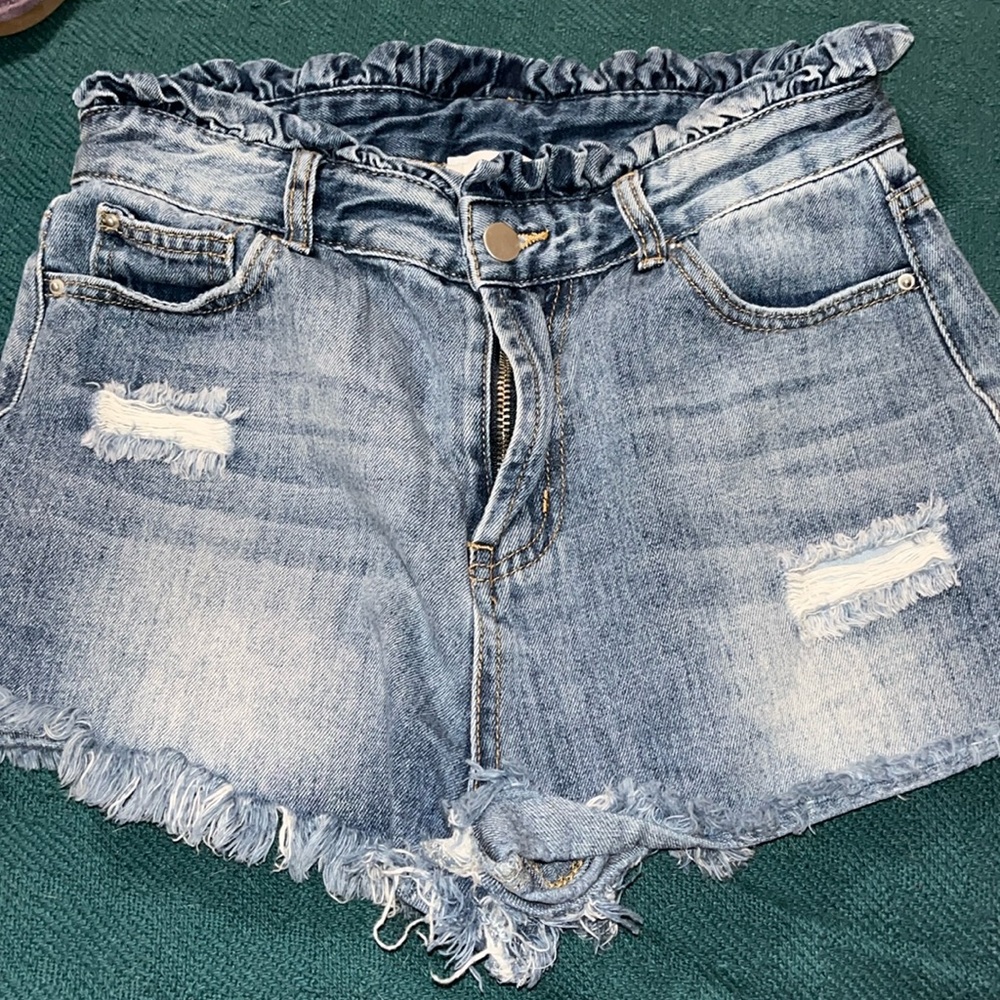Hayden Los Angeles Denim Shorts